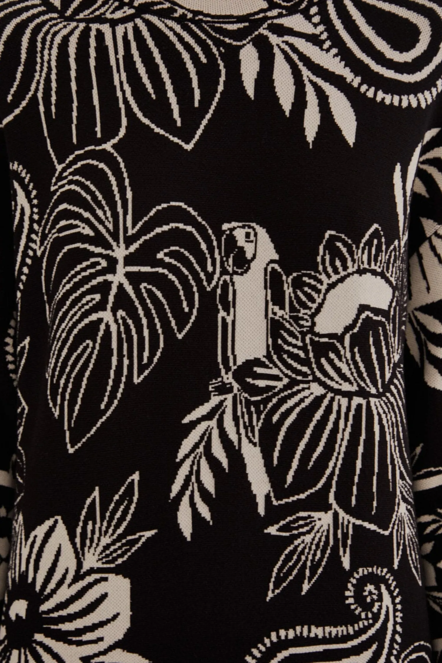 FARM Rio BLACK PAISLEY BLOOM KNIT DRESS
