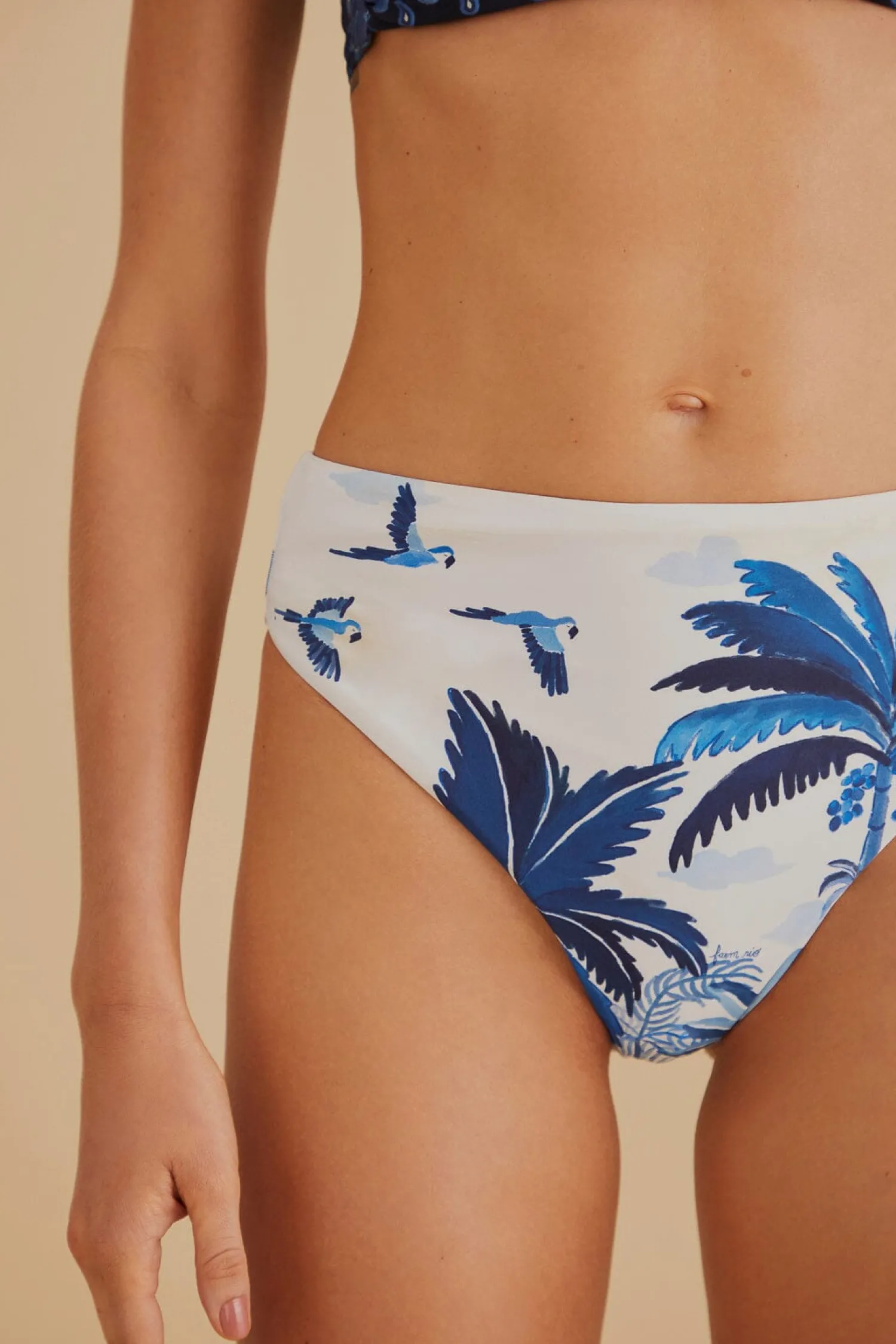FARM Rio DREAM SKY HIGH WAISTED BIKINI BOTTOM